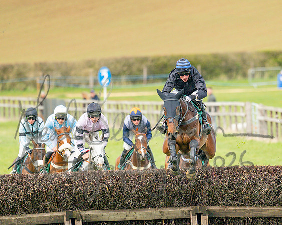 Race 2 - Young Horse Maiden 2m 5f (75 of 117)