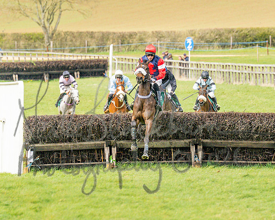 Race 2 - Young Horse Maiden 2m 5f (79 of 117)