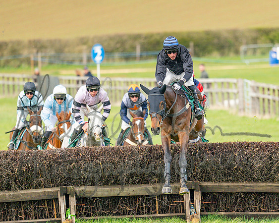 Race 2 - Young Horse Maiden 2m 5f (76 of 117)