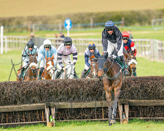 Race 2 - Young Horse Maiden 2m 5f (78 of 117)