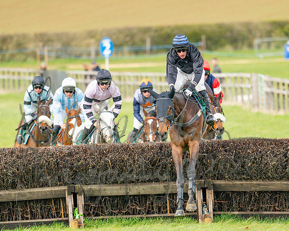 Race 2 - Young Horse Maiden 2m 5f (77 of 117)