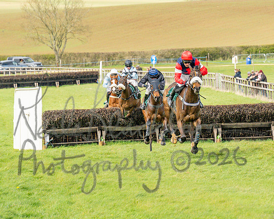Race 2 - Young Horse Maiden 2m 5f (80 of 117)