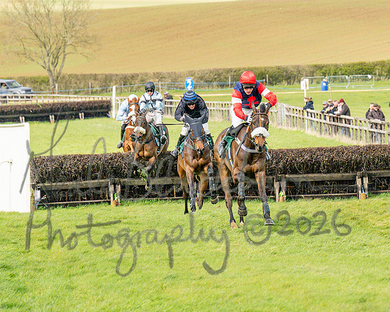 Race 2 - Young Horse Maiden 2m 5f (81 of 117)