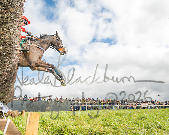 Race 2 - Young Horse Maiden 2m 5f (82 of 117)