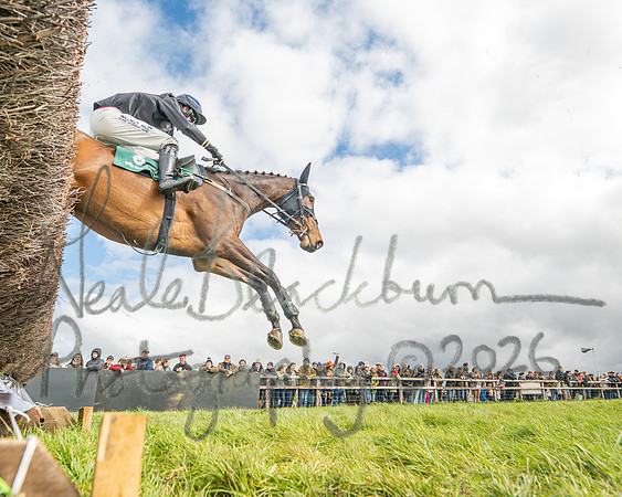 Race 2 - Young Horse Maiden 2m 5f (84 of 117)