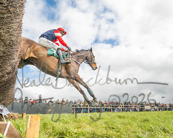 Race 2 - Young Horse Maiden 2m 5f (83 of 117)