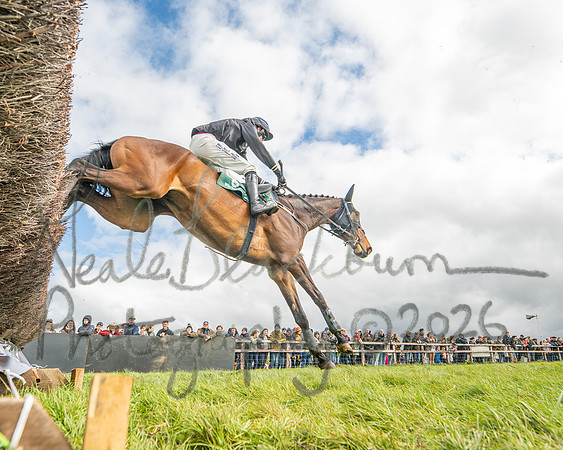 Race 2 - Young Horse Maiden 2m 5f (85 of 117)