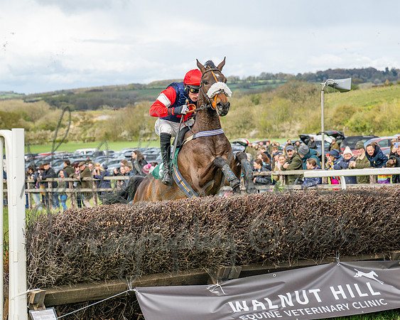 Race 2 - Young Horse Maiden 2m 5f (86 of 117)