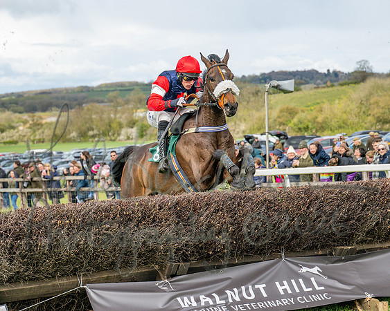 Race 2 - Young Horse Maiden 2m 5f (87 of 117)
