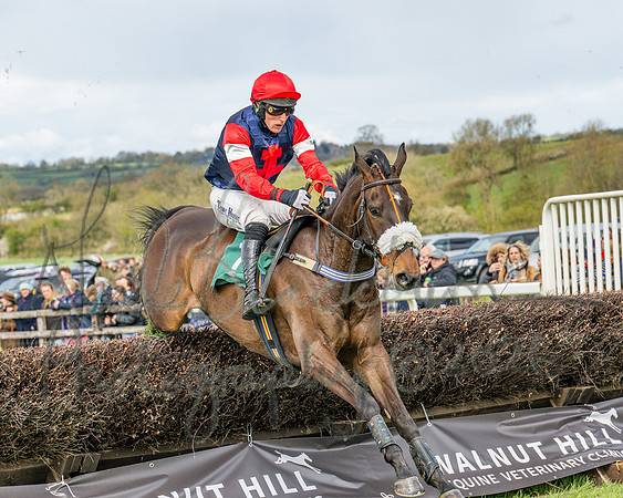 Race 2 - Young Horse Maiden 2m 5f (89 of 117)