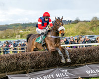 Race 2 - Young Horse Maiden