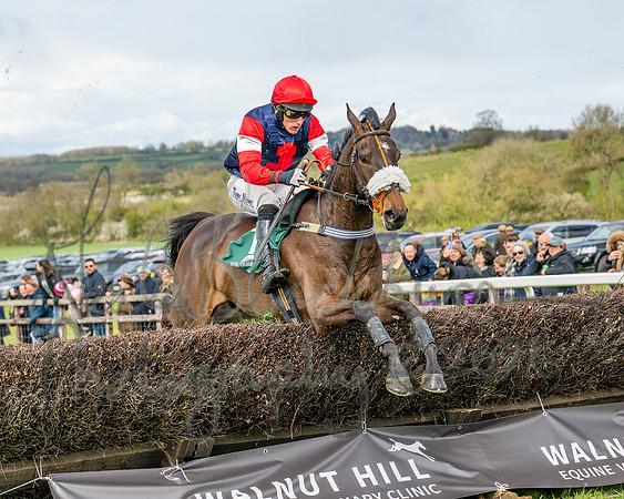 Race 2 - Young Horse Maiden 2m 5f (88 of 117)