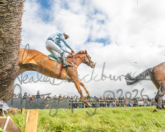 Race 2 - Young Horse Maiden 2m 5f (90 of 117)