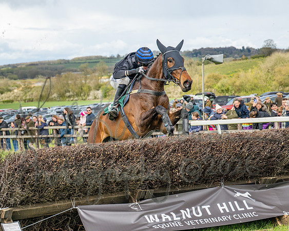 Race 2 - Young Horse Maiden 2m 5f (91 of 117)