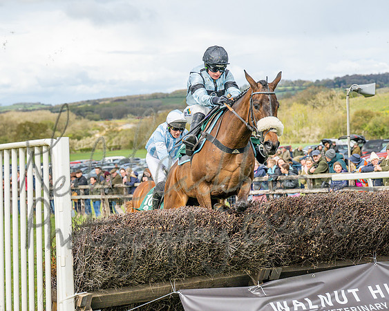 Race 2 - Young Horse Maiden 2m 5f (94 of 117)