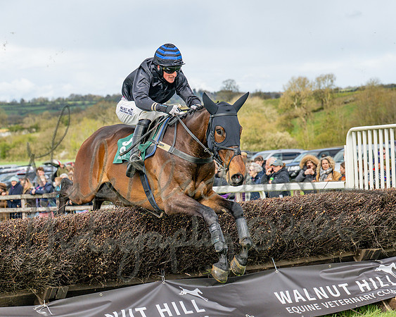 Race 2 - Young Horse Maiden 2m 5f (93 of 117)