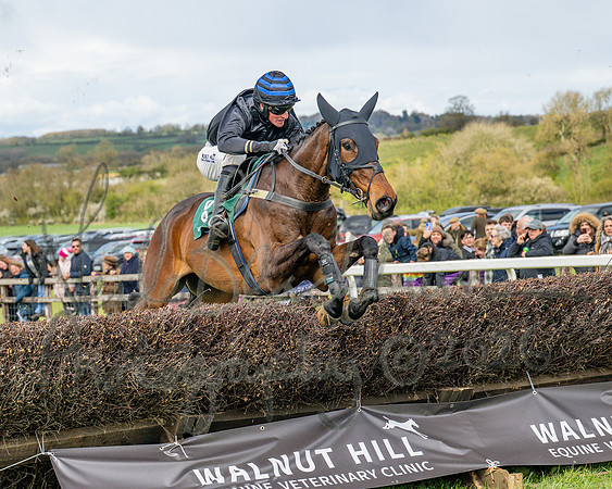Race 2 - Young Horse Maiden 2m 5f (92 of 117)