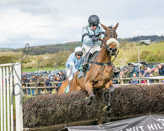 Race 2 - Young Horse Maiden 2m 5f (95 of 117)