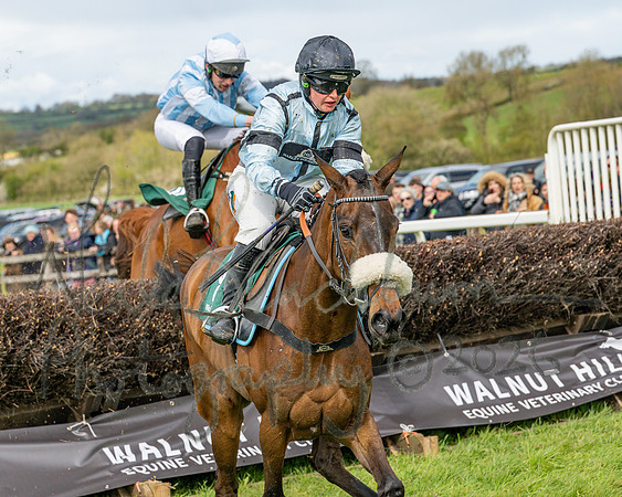 Race 2 - Young Horse Maiden 2m 5f (97 of 117)