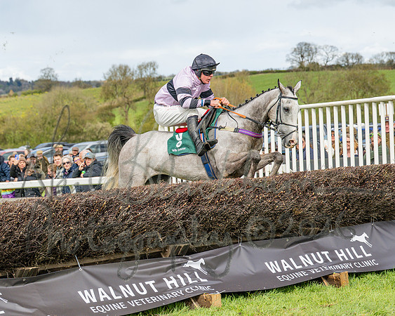 Race 2 - Young Horse Maiden 2m 5f (98 of 117)