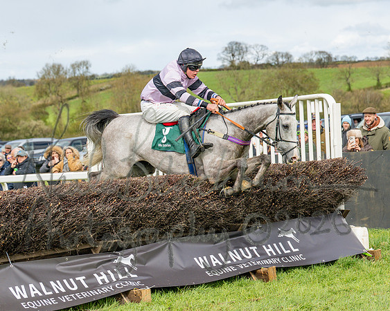 Race 2 - Young Horse Maiden 2m 5f (99 of 117)