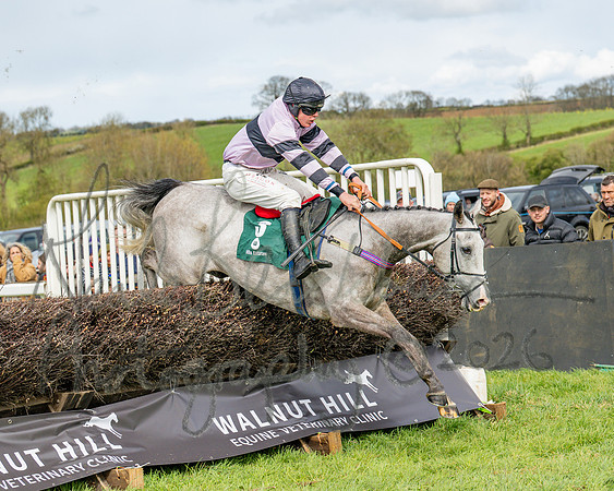 Race 2 - Young Horse Maiden 2m 5f (100 of 117)