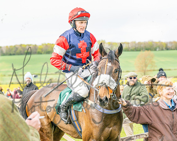 Race 2 - Young Horse Maiden 2m 5f (105 of 117)