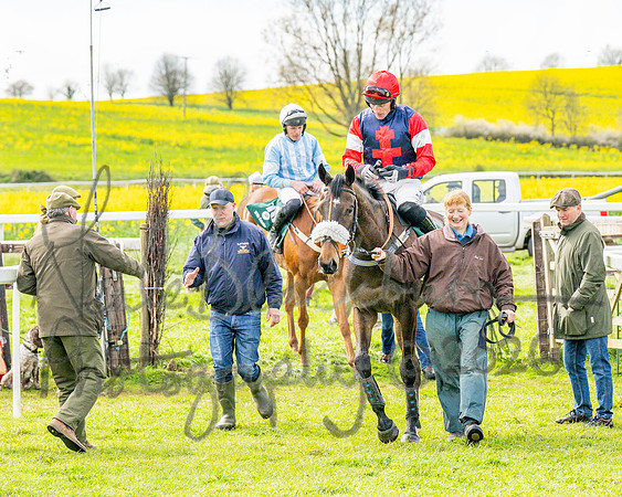 Race 2 - Young Horse Maiden 2m 5f (103 of 117)