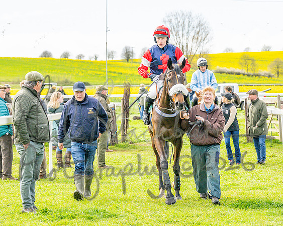 Race 2 - Young Horse Maiden 2m 5f (104 of 117)