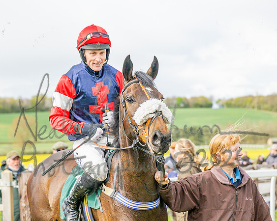 Race 2 - Young Horse Maiden 2m 5f (107 of 117)
