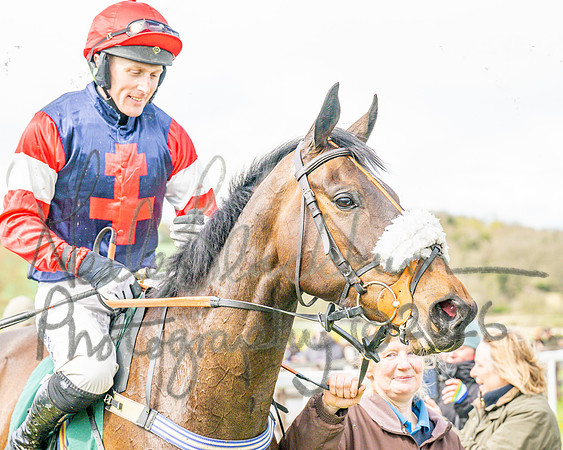 Race 2 - Young Horse Maiden 2m 5f (109 of 117)