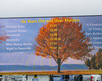Race 3 - Six and Overs Maiden 3m (2 of 93)