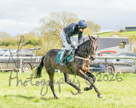 Race 3 - Six and Overs Maiden 3m (8 of 93)