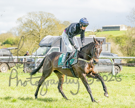 Race 3 - Six and Overs Maiden 3m (9 of 93)