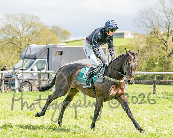 Race 3 - Six and Overs Maiden 3m (10 of 93)