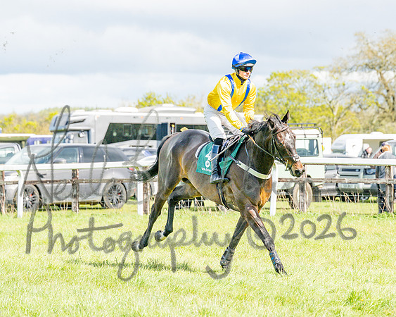 Race 3 - Six and Overs Maiden 3m (12 of 93)