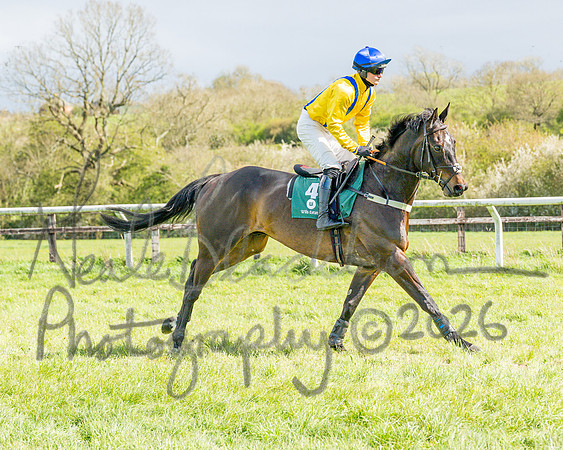 Race 3 - Six and Overs Maiden 3m (13 of 93)