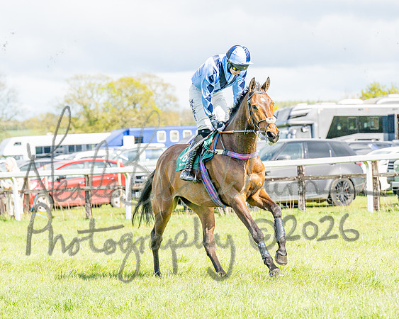 Race 3 - Six and Overs Maiden 3m (16 of 93)