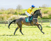 Race 3 - Six and Overs Maiden 3m (14 of 93)