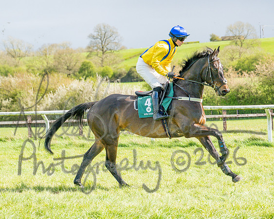 Race 3 - Six and Overs Maiden 3m (14 of 93)
