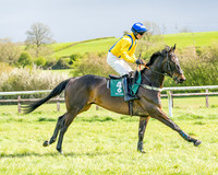 Race 3 - Six and Overs Maiden 3m (15 of 93)