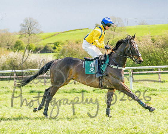 Race 3 - Six and Overs Maiden 3m (15 of 93)