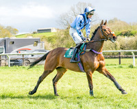 Race 3 - Six and Overs Maiden 3m (19 of 93)