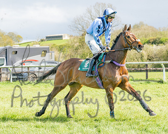 Race 3 - Six and Overs Maiden 3m (19 of 93)