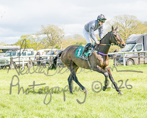 Race 3 - Six and Overs Maiden 3m (21 of 93)