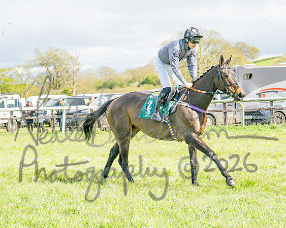 Race 3 - Six and Overs Maiden 3m (22 of 93)