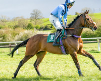 Race 3 - Six and Overs Maiden 3m (20 of 93)