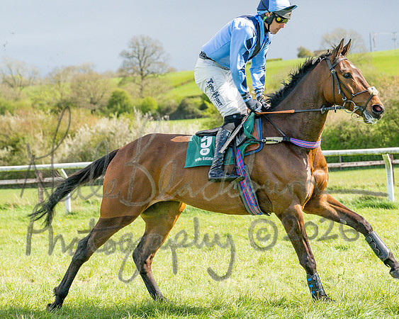 Race 3 - Six and Overs Maiden 3m (20 of 93)