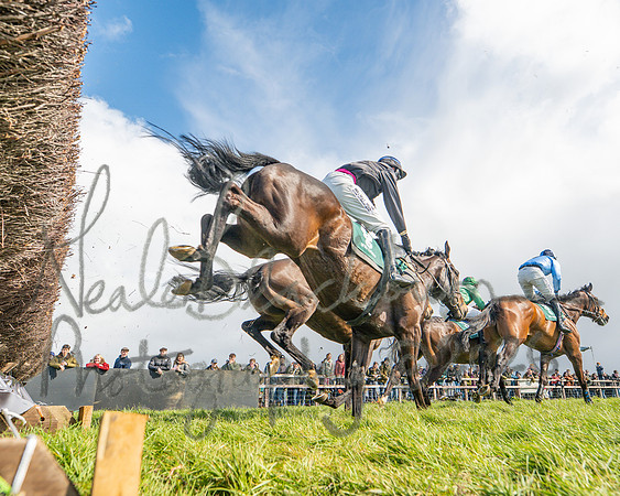 Race 3 - Six and Overs Maiden 3m (27 of 93)