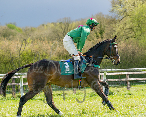 Race 3 - Six and Overs Maiden 3m (25 of 93)